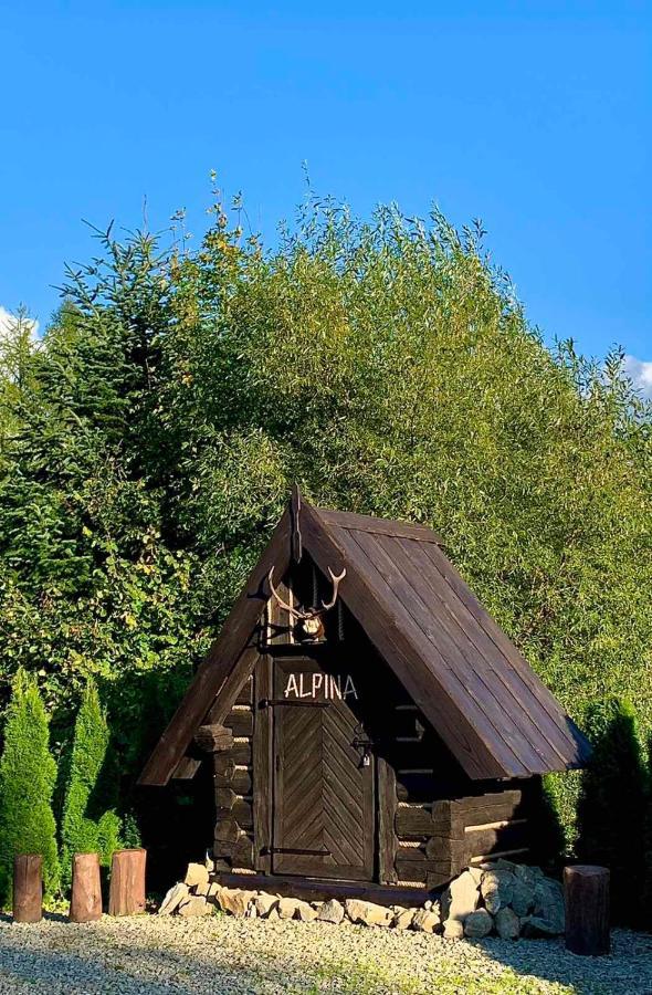 Alpina Hotel Krynica Zdroj Bagian luar foto